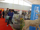 第八屆廈門石材展