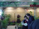 第十屆廈門(mén)石材展
