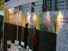 第十九屆上海石材展