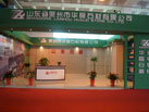 第十三屆中國(guó)（萊州）石材展覽會(huì)