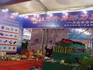 第十一屆水頭石材展