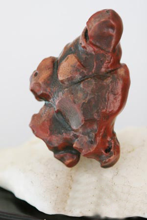 內(nèi)蒙古男子收藏戈壁石外形酷似航天員 內(nèi)蒙古男子收藏戈壁石外形酷似航天員