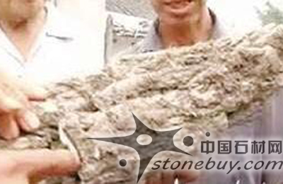 男子撿到怪石能自己長個 遇水體積膨脹