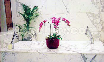 水落石出,衛浴發展新概念 水落石出,衛浴發展新概念