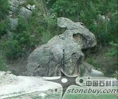 奇石--巨型石兔驚現(xiàn)新疆阿勒泰