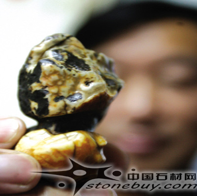 島城驚現“瘋狂石頭” 奇石形狀酷似福娃