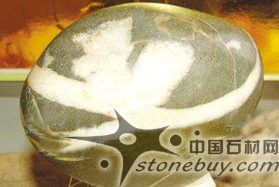 他有塊奇石像飛人跨欄 