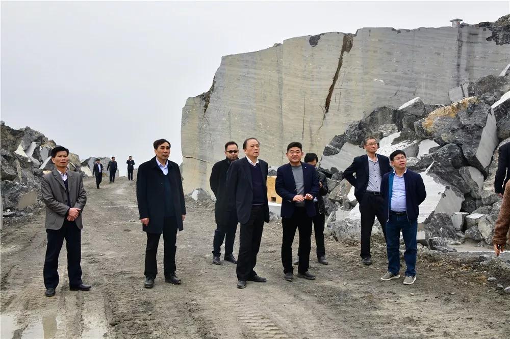 中國煤炭地質總局領導到廣西忻城考察石材產業 中國煤炭地質總局領導到廣西忻城考察石材產業